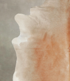 Caramel Cowhide Rug #A25994