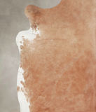 Solid Brown Cowhide Rug #A26043