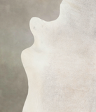 Grey with Beige Cowhide Rug #A26062