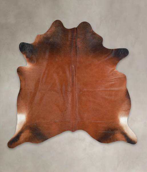 Brown with Red Cowhide Rug #A26093