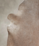 Taupe Cowhide Rug #A26107
