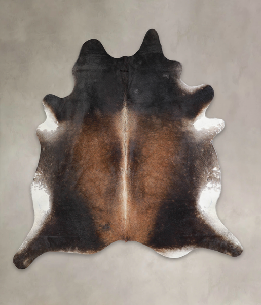 Brown with Red Cowhide Rug #A26122