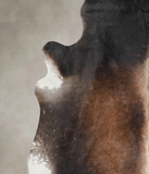 Brown with Red Cowhide Rug #A26122
