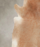 Solid Brown Cowhide Rug #A26134