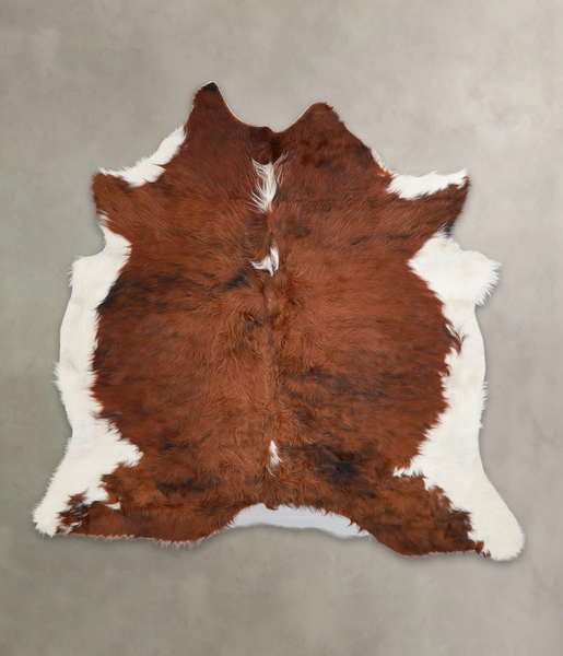 Tricolor Cowhide Rug #A26137