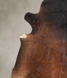 Brown with Red Cowhide Rug #A26165