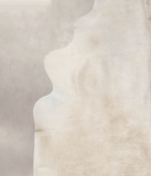 Champagne Cowhide Rug #A26394