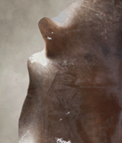 Chocolate Cowhide Rug #A26434