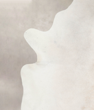 Ivory with Beige Cowhide Rug #A26436