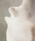 Grey with Beige Cowhide Rug #A26440