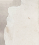 Ivory with Beige Cowhide Rug #A26499