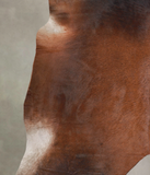 Brown with Red Cowhide Rug #A26596