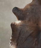 Chocolate Cowhide Rug #A26632
