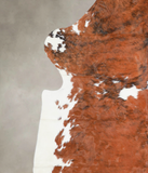 Tricolor Cowhide Rug #A26670
