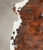 Tricolor Cowhide Rug #A26733