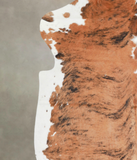 Tricolor Cowhide Rug #A26790