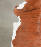 Tricolor Cowhide Rug #A26876