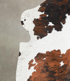 Tricolor Cowhide Rug #A26884