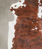 Tricolor Cowhide Rug #A26927
