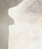 Grey Brindle Cowhide Rug #A26946