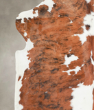 Tricolor Cowhide Rug #A26953