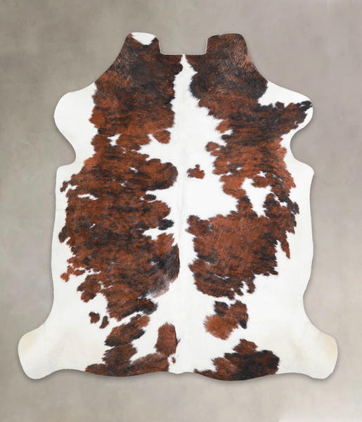 Tricolor Cowhide Rug #A27057