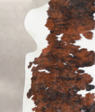 Tricolor Cowhide Rug #A27057
