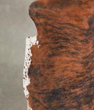 Medium Brindle Cowhide Rug #A27080