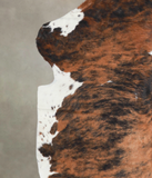 Tricolor Cowhide Rug #A27082