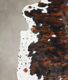 Tricolor Cowhide Rug #A27163