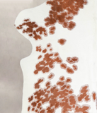 Brown and White Cowhide Rug #A27193