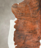 Tricolor Cowhide Rug #A27282