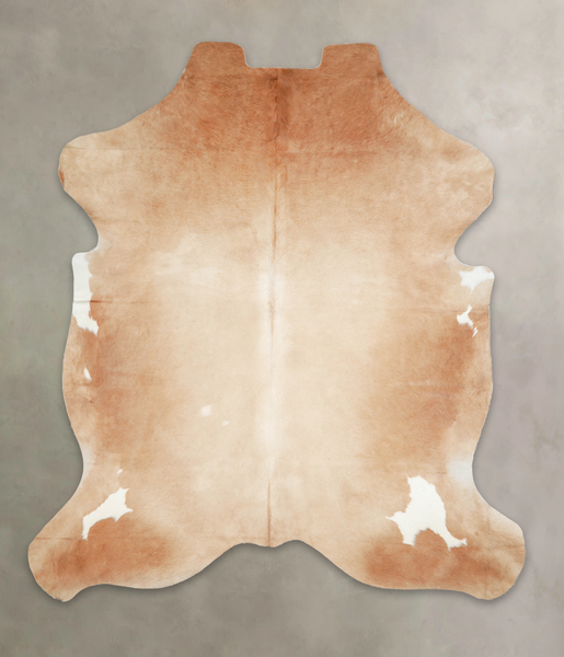 Brown and White Regular Cowhide Rug #A27326