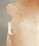 Brown and White Regular Cowhide Rug #A27326