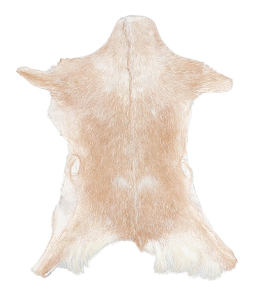 Goatskin #A27355