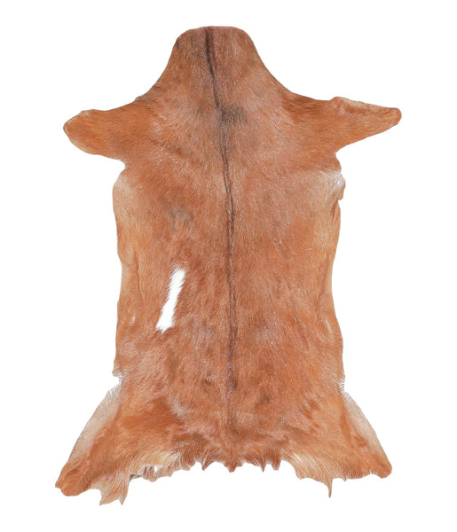 Goatskin #A27360