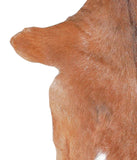 Goatskin #A27360