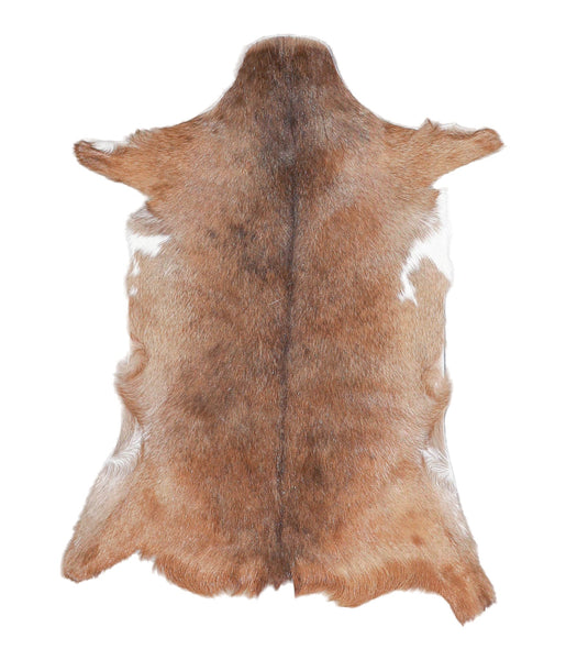 Goatskin #A27362