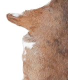 Goatskin #A27362