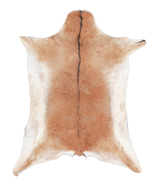 Goatskin #A27367