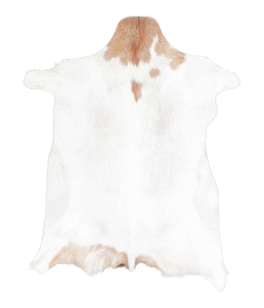 Goatskin #A27381