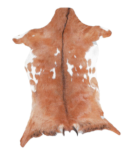 Goatskin #A27405