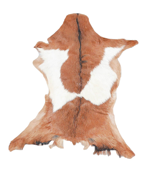 Goatskin #A27407