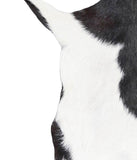 Goatskin #A27512