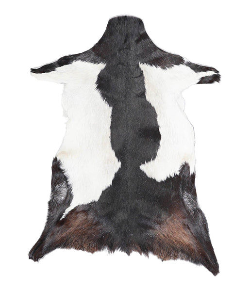 Goatskin #A27519