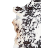 Goatskin #A27655