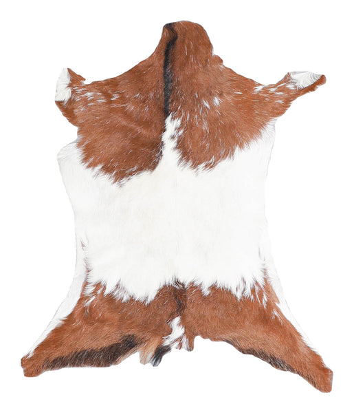 Goatskin #A27721