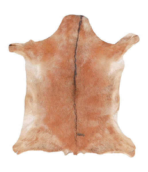 Goatskin #A27754