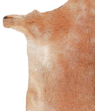 Goatskin #A27754