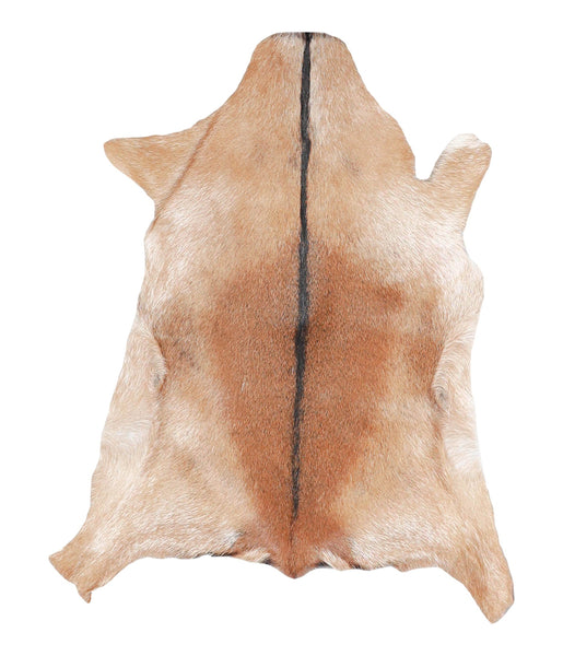Goatskin #A27766